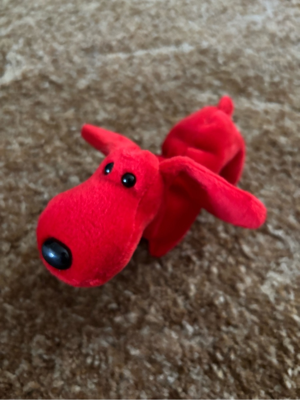 Ty Beanie Baby Rover the Dog